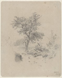 Paesaggio con quercia da Paul Joseph Constantin Gabriel