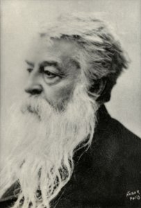 Ritratto di Ernest Messonnier (foto)