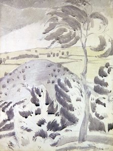 Collina e albero
