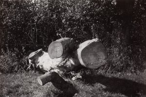 Trovare un oggetto da Paul Nash