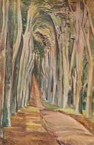 Foresta di Savernake, 1935