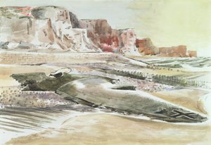 Il predone sulla riva da Paul Nash