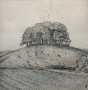 Il bosco sulla collina