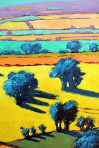 Cotswold Way da vicino 8