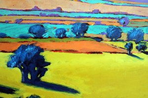 Cotswold Way (dettaglio) da Paul Powis