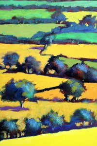Quercia bianca da vicino 6 da Paul Powis