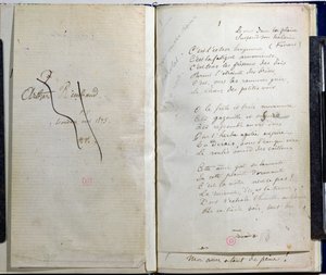 Pagine manoscritte da 