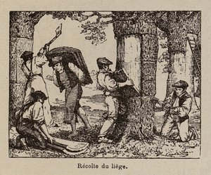  da Paul de Laubadere