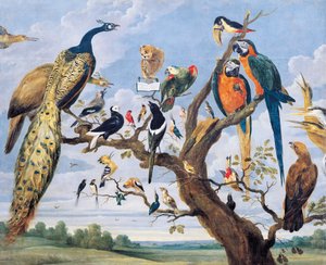 Concerto di uccelli da Paul De Vos