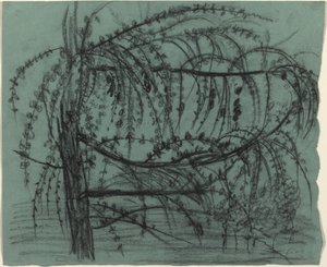 Albero da Frutto in Fiore