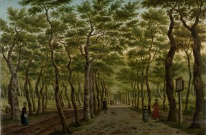 Il Herepad nel Haagse Bos