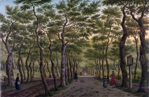 Il Herepad nel Haagse Bos