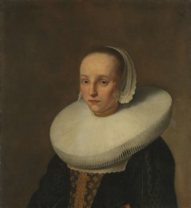Ritratto di Anna van der Does (1609-1650) da Paulus Hennekyn