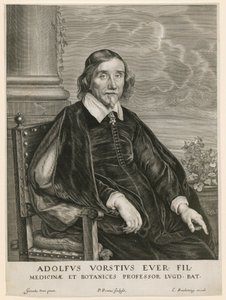 Ritratto di Adolph Vorst, professore a Leida da Paulus Pontius