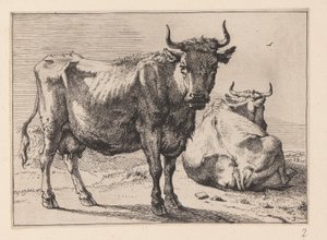 Una mucca in piedi e un