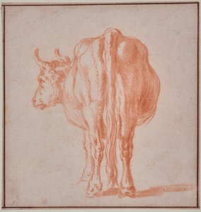 Mucca (studio di animali) da Paulus Potter