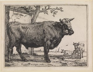 Il toro da Paulus Potter