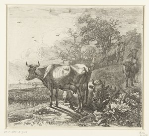 Il pastore da Paulus Potter