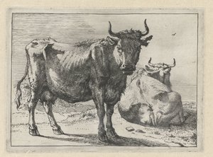 Una mucca in piedi e una sdraiata (Het Bullenboekje) da Paulus Potter