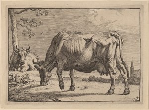 Mucca al pascolo da Paulus Potter