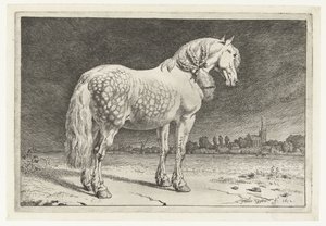 Il cavallo frisone da Paulus Potter