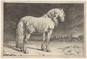 Il cavallo frisone da Paulus Potter