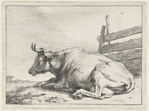 Mucca sdraiata vicino a una recinzione (Het Bullenboekje) da Paulus Potter