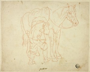 Uomo che aggiusta la sella su un cavallo