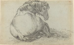 Cavallo a riposo da Paulus Potter