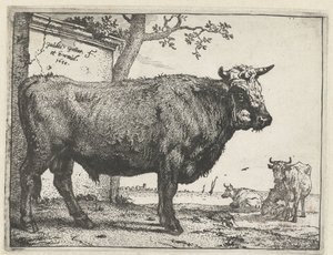 Toro da Paulus Potter