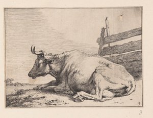 La mucca sdraiata vicino a un recinto, da Vari buoi e mucche da Paulus Potter