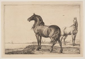 Il cavallo tagliato, da Serie di cavalli