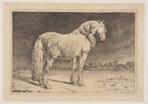 Il cavallo frisone, da Serie di cavalli da Paulus Potter