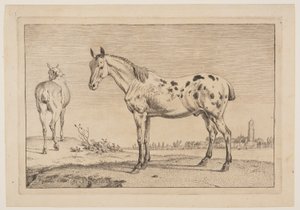 Il cavallo che nitrisce, da Serie di cavalli da Paulus Potter