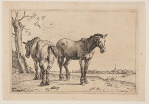 Il cavallo dell