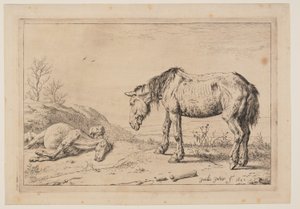 Il cavallo consumato (La Mazette), da Serie di cavalli