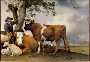 Il giovane toro. Un pastore e il suo bestiame, montone, agnello, mucca e toro. L