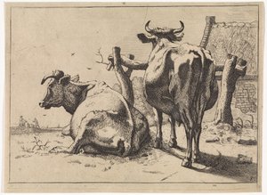 Due mucche viste da dietro (serie Het Bullenboekje) da Paulus Potter