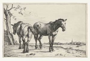 Due cavalli da tiro Cavalli (titolo della serie) da Paulus Potter