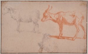 Due pecore e una capra (studi di animali)