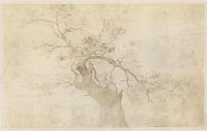 Studio di un albero nodoso da Paulus Willemsz. van Vianen