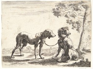 Due cani legati insieme da Paulus van Hillegaert (II)