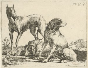 Tre cani (Diversi cani)