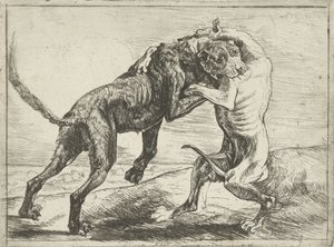 Due cani che combattono (Cani) da Pauwels van Hillegaert