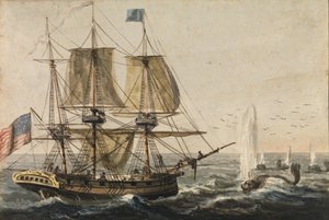 Rifornimento della dispensa della nave con merluzzo al largo della costa di Terranova da Pavel Petrovic Svin