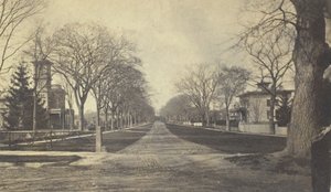 Hillhouse Avenue, XIX secolo da Peck Brothers