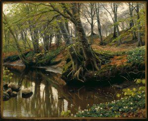 Giornata di primavera al margine del bosco