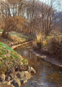 Primavera al ruscello del bosco
