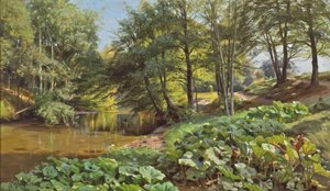 Giornata di maggio soleggiata presso il ruscello del bosco