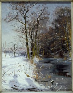 Giornata invernale soleggiata da Peder Monsted